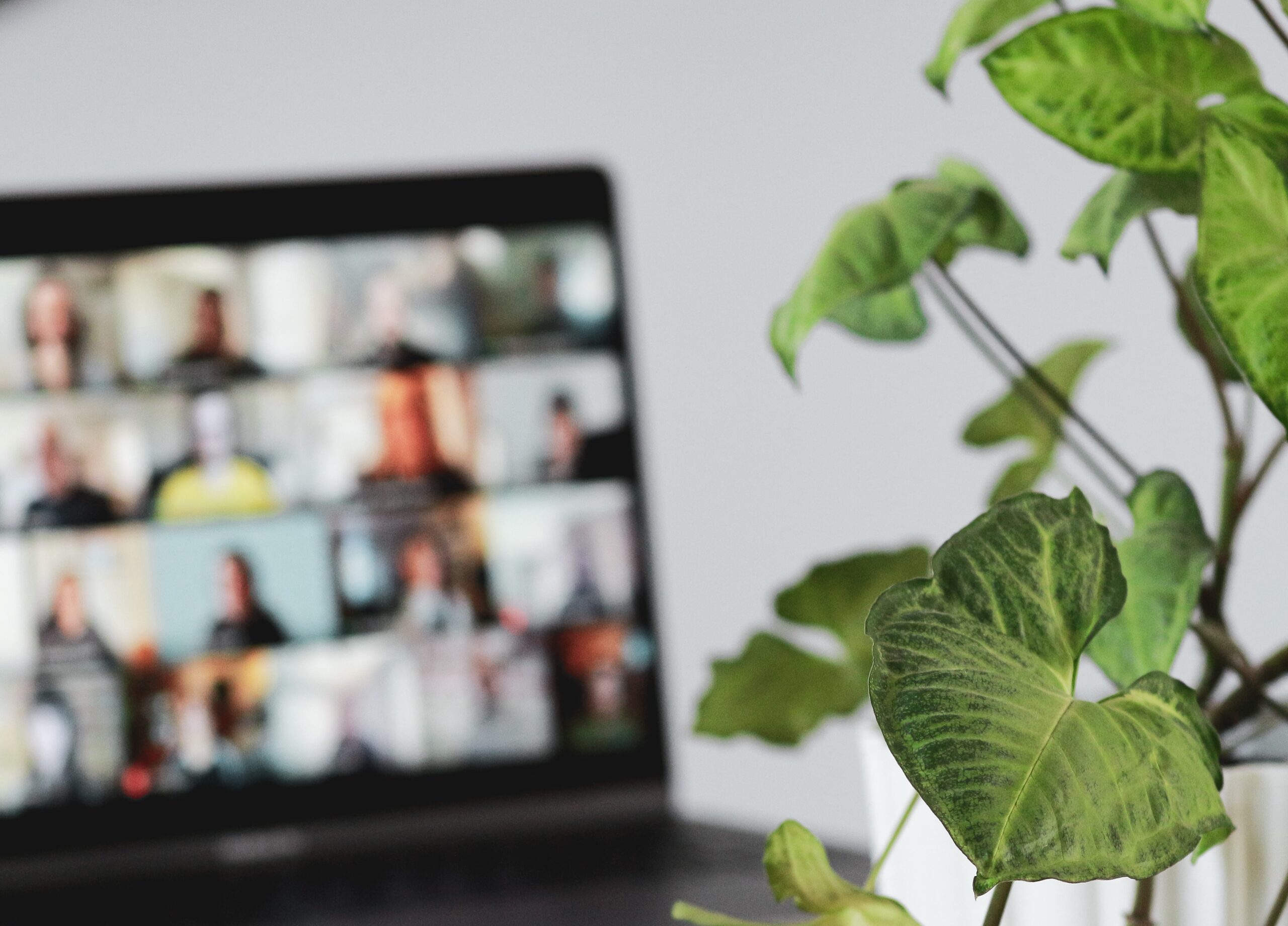 Monitor with virtual meeting with many participants